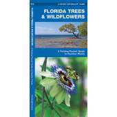 Plant & Flower Identification Guides :Florida Trees & Wildflowers