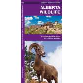 Alberta Wildlife