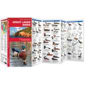Great Lakes Birds (Folding Pocket Guide)