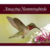 Amazing Hummingbirds: Unique Images and Characteristics