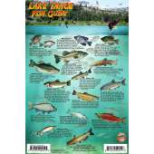 Fish & Sealife Identification Guides :Lake Tahoe Map & Fish Guide