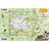 Mt. Rainier National Park Map & Wildlife Guide