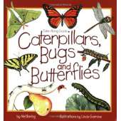 Children's Outdoors & Camping :Take-Along Guide: Caterpillars, Bugs and Butterflies
