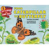 From Caterpillar to Butterfly