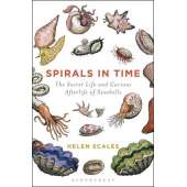 Spirals in Time: The Secret Life and Curious Afterlife of Seashells