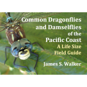 Pacific Northwest Field Guides :Common Dragonflies and Damselflies of the Pacific Coast: A Life Size Field Guide