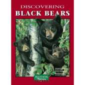 Discovering Black Bears