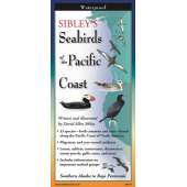 Bird Identification Guides :Sibley's Seabirds of the Pacific Coast