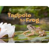 Children's Books :Tadpole to Frog (Science for Toddlers)