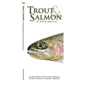 Trout & Salmon of North America