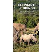 Mammal Identification Guides :Elephants & Rhinos: A Folding Pocket Guide to the Status of Familiar Species