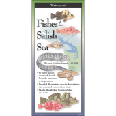 Fishes of the Salish Sea