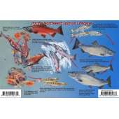 Pacific Northwest Salmon Lifecycle & Identification LAMINATED CARD