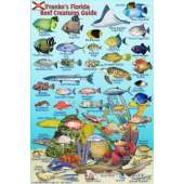 Florida Reef Creatures Guide LAMINATED CARD