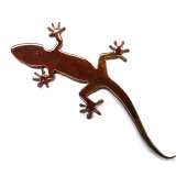 Gecko MAGNET