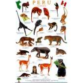 Peru Mammals Guide