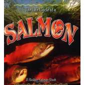 Kids Books about Fish & Sea Life :The Life Cycle of a: Salmon