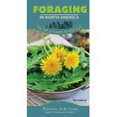 Foraging :Adventure Skills Guides: Foraging in North America: The Top 12 Plants to Seek Out