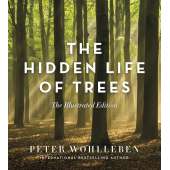 The Hidden Life of Trees: The Illustrated Edition