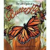Butterflies, Bugs & Spiders :The Life Cycle of a Butterfly