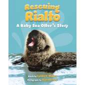 Rescuing Rialto: A Baby Sea Otter's Story