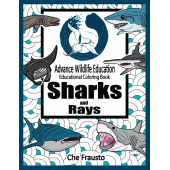 Sharks :Sharks and Rays Educational Coloring Book