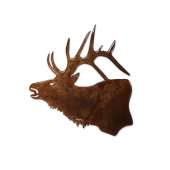 Elk Head MAGNET (Small)