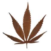 Cannabis & Counterculture Books :Leaf Magnet