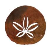 Sand Dollar MAGNET