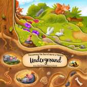 Board Books :Discovering the Secret World of Nature Underground