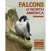 Falcons of North America