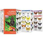 Florida Butterflies & Pollinators: A Folding Pocket Guide to Familiar Species