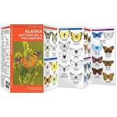 Alaska :Alaska Butterflies & Pollinators: A Folding Pocket Guide to Familiar Species