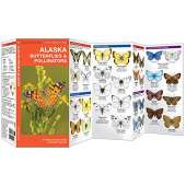 Alaska Butterflies & Pollinators: A Folding Pocket Guide to Familiar Species