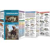 Dinosaurs: A Folding Pocket Guide to Familiar Species