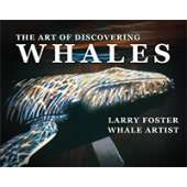 The Art of Discovering Whales