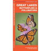 Great Lakes Butterflies & Moths