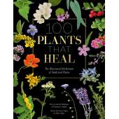 Foraging :100 Plants that Heal: The illustrated herbarium of medicinal plants