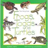 Reptiles & Amphibians :Take-Along Guide: Frogs, Toads & Turtles