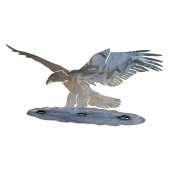 Bald Eagle STAND-UP DISPLAY