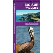 Pacific Northwest Field Guides :Big Sur Wildlife: A Folding Pocket Guide to Familiar Regional Animals
