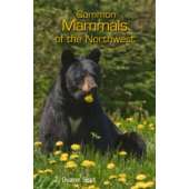 Pacific Northwest / Pacific Coast :Common Mammals of the Northwest