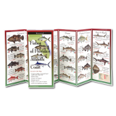 Fishes of Florida's Atlantic Coast (Folding Guides)