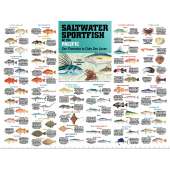 Posters :Saltwater Sport Fish of the Pacific: San Francisco to Cabo San Lucas POSTER