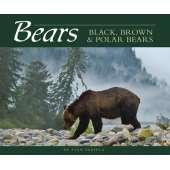 Books About Bears :Bears: Black, Brown & Polar Bears