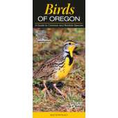 Birds of Oregon