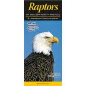 Raptors of Western North America: A Comprehensive Guide to All Species