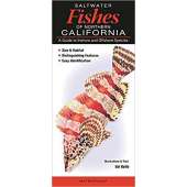Fish & Sealife Identification Guides :Saltwater Fishes of Northern California : A Guide to Inshore and Offshore Species