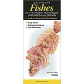 Fish & Sealife Identification Guides :Saltwater Fishes of the Pacific Northwest : Washington and Oregon: A Guide to Inshore and Offshore Species