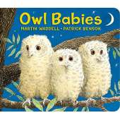 Owl Babies